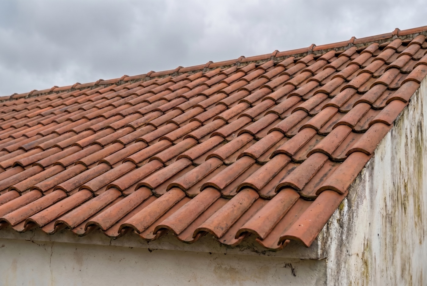 Roof after cleaning